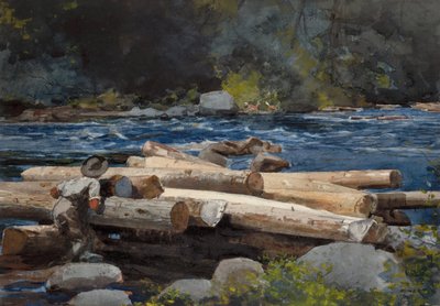 Hudson River by Winslow Homer